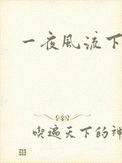 一夜风流下载