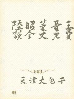 陆昭菱晋王的小说全文免费阅读