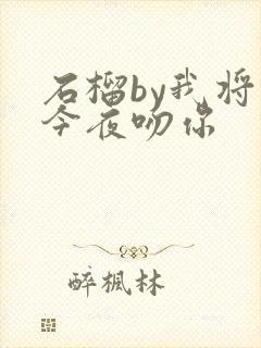 石榴by我将在今夜吻你
