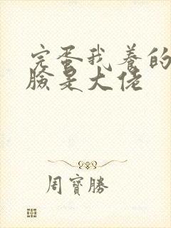 完蛋我养的小白脸是大佬