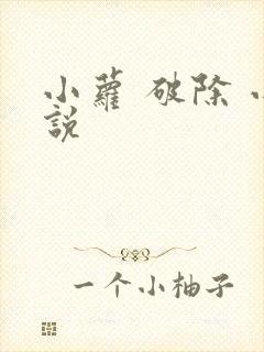 小萝 破除 小说
