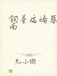 饲养病娇恶龙指南