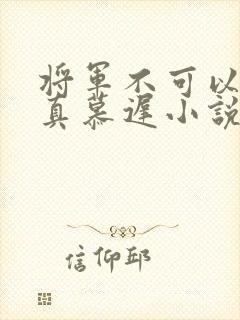 将军不可以魏云真慕迟小说笔趣阁
