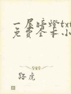 一屋暗灯txt免费全本小说电子书