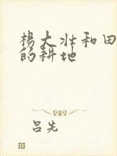 杨大壮和田桂花的耕地