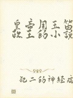 皇帝用玉笛整摄政王的小说