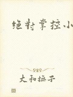 绝对掌控小说