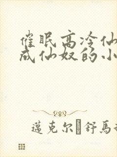 催眠高冷仙奴变成仙奴的小说