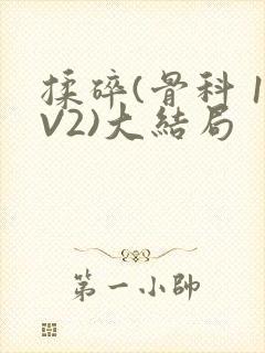 揉碎(骨科 1V2)大结局