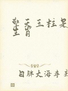 擎天玉柱是什么生肖