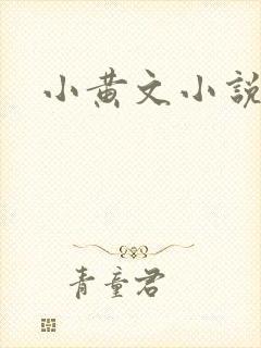 小黄文小说