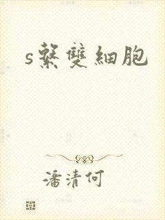 s系双细胞
