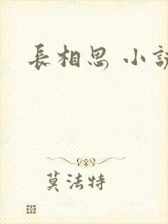 长相思 小说