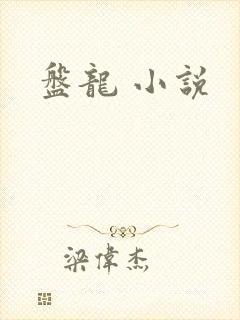 盘龙 小说