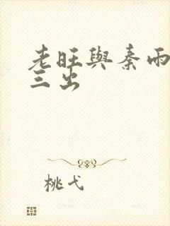 老旺与秦雨三进三出