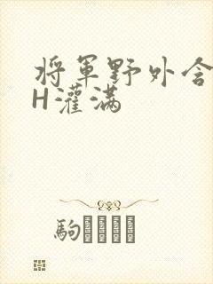 将军野外含公主H灌满