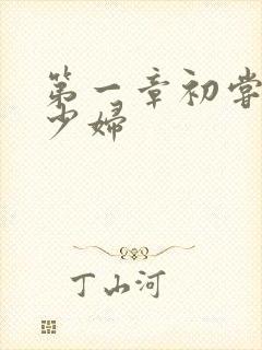 第一章初尝极品少妇