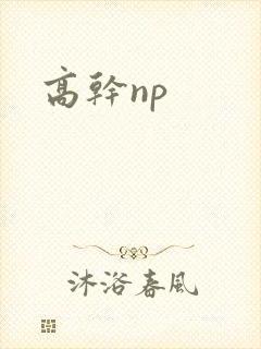 高干np