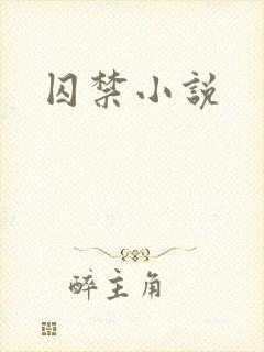 囚禁小说
