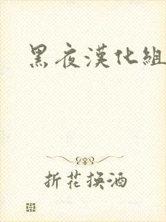 黑夜汉化组