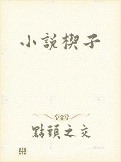 小说楔子