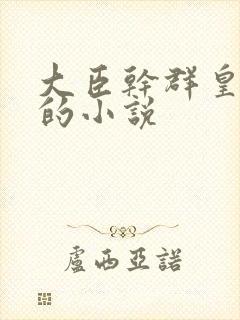 大臣干群皇太后的小说