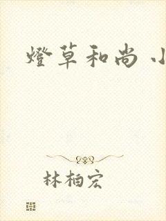灯草和尚 小说