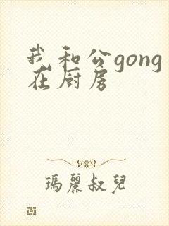 我和公gong在厨房