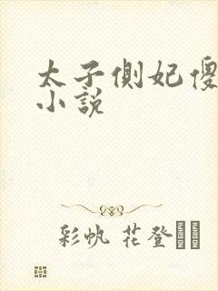 太子侧妃傻乎乎小说