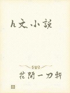 h文小说