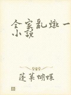 全家乱炖一锅烩小说