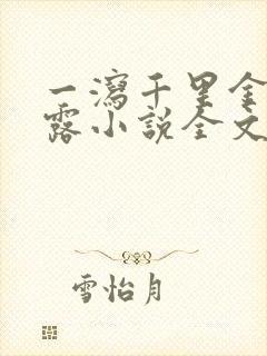 一泻千里金银花露小说全文免费阅读