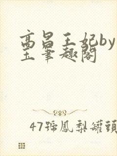 高昌王妃by黛玉笔趣阁