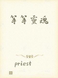 等等灵魂
