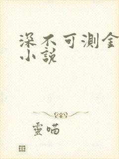 深不可测金银花小说