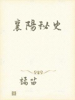 襄阳秘史