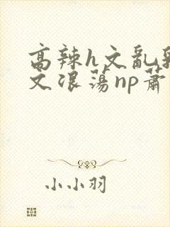 高辣h文乱乳h文浪荡np萧太后