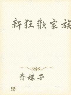 新狂欢家族小说