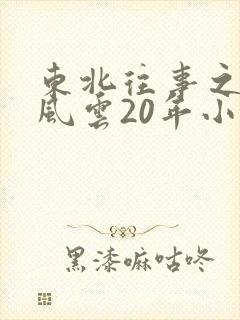 东北往事之黑道风云20年小说