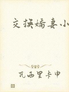 交换娇妻小说