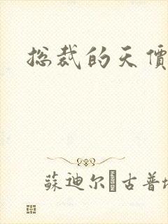 总裁的天价宠妻