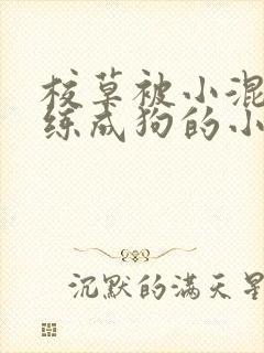 校草被小混混训练成狗的小说