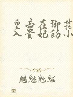 皇帝在御花园进入贵妃的小说