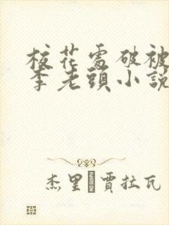 校花处破被灌满李老头小说