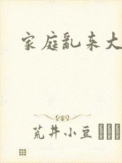 家庭乱来大杂烩