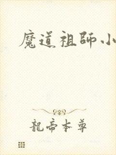魔道祖师小说