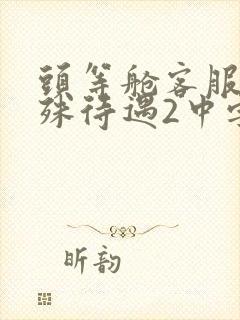 头等舱客服的特殊待遇2中字