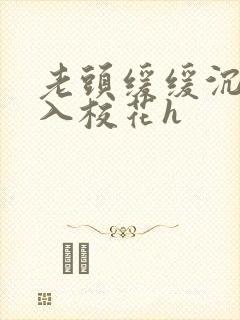 老头缓缓沉腰进入校花h