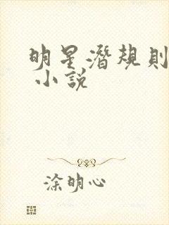 明星潜规则之皇 小说