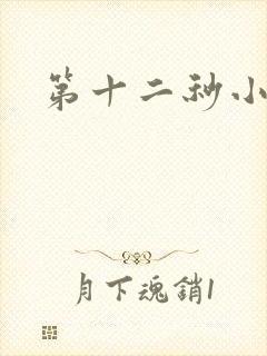 第十二秒小说